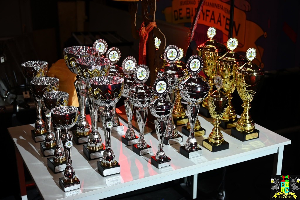 ../Images/Prijsuitreiking grote optocht 2025 004.jpg